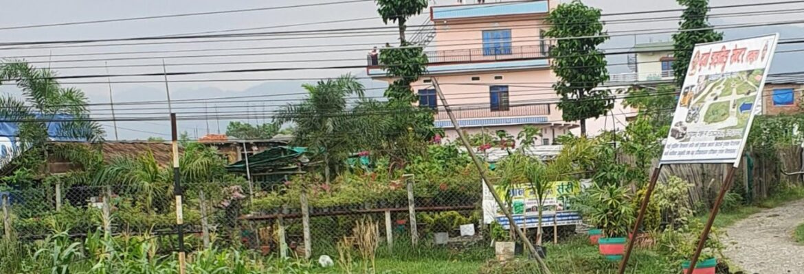 Gyandip Nursery Gachhiya Morang